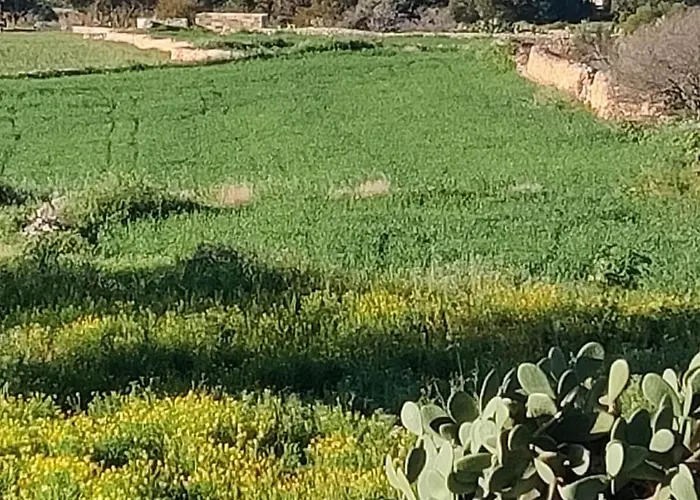 Marsaxlokk Farmstay Equine Centre