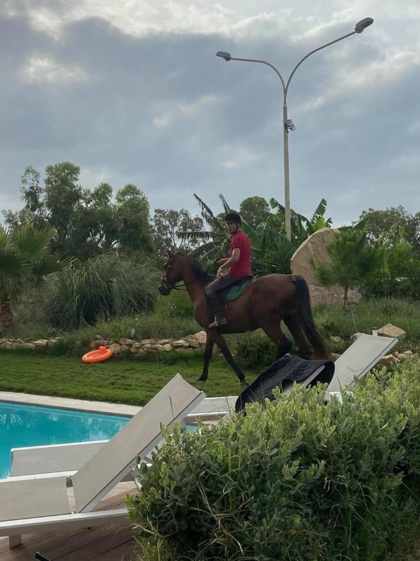 بيت للعطل Marsaxlokk Equine Centre *